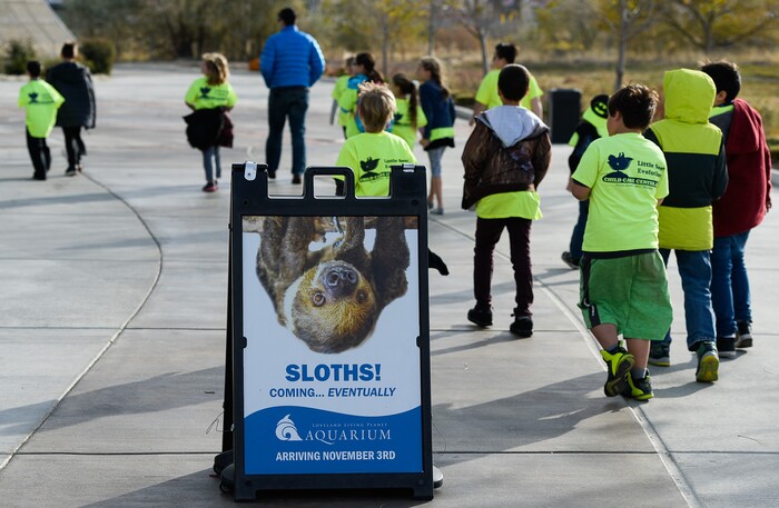 (Francisco Kjolseth | The Salt Lake Tribune) Students arrive at the Loveland Living Planet Aquarium where a new exhibit is arriving... "eventually." A recently acquired pair of two-toed sloths will be unveiled to the public on Friday. They've been adjusting to the sights and sounds of the aquarium for the last couple of weeks after being rescued from the South American country of Guyana due to habitat deforestation.