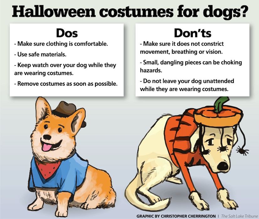 doghalloween_102717