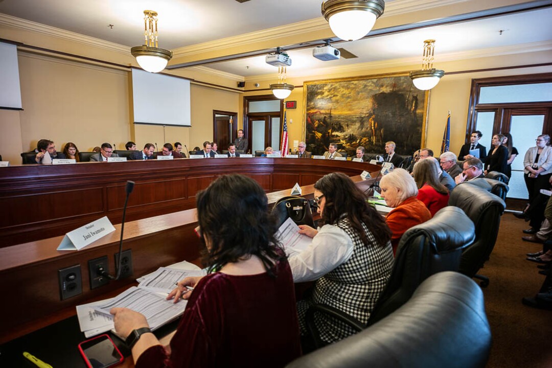 (Trent Nelson | The Salt Lake Tribune)   as the Executive Approporiations Committee meets in Salt Lake City on the last day of the 2019 Utah legislative session, Thursday March 14, 2019.