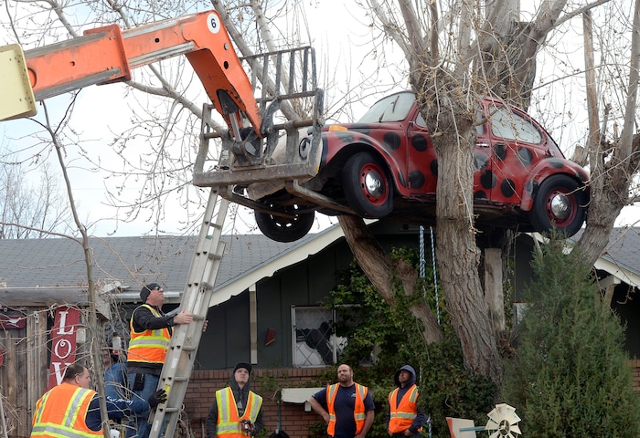 (Al Hartmann | The Salt Lake Tribune)
Clearfield public works personnel use a crane to remove Janis Zettel's gutted VW Beetle from a tree in her front yard Tuesday Feb. 13. She put it up a few months ago as an art installation. Now it has to come down. Workers had to figure out how.
