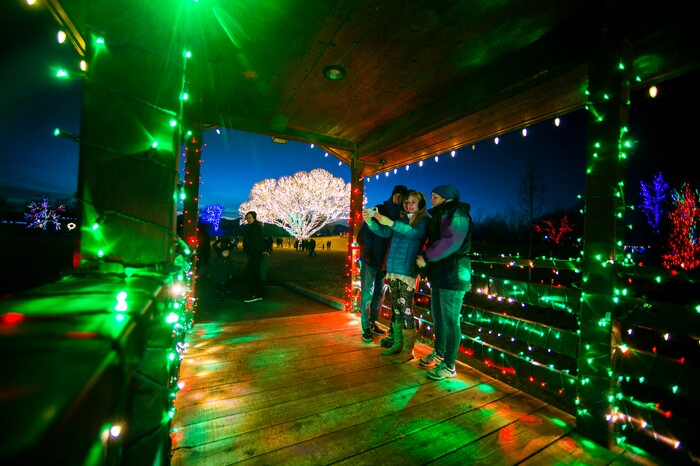 (Rick Egan | The Salt Lake Tribune) A family grabs a photo on the brigade with the willow tree at Draper City Park with more than1,000 strands of lights, with the The Tree of Life in the background, on Thursday, Dec. 24, 2020.