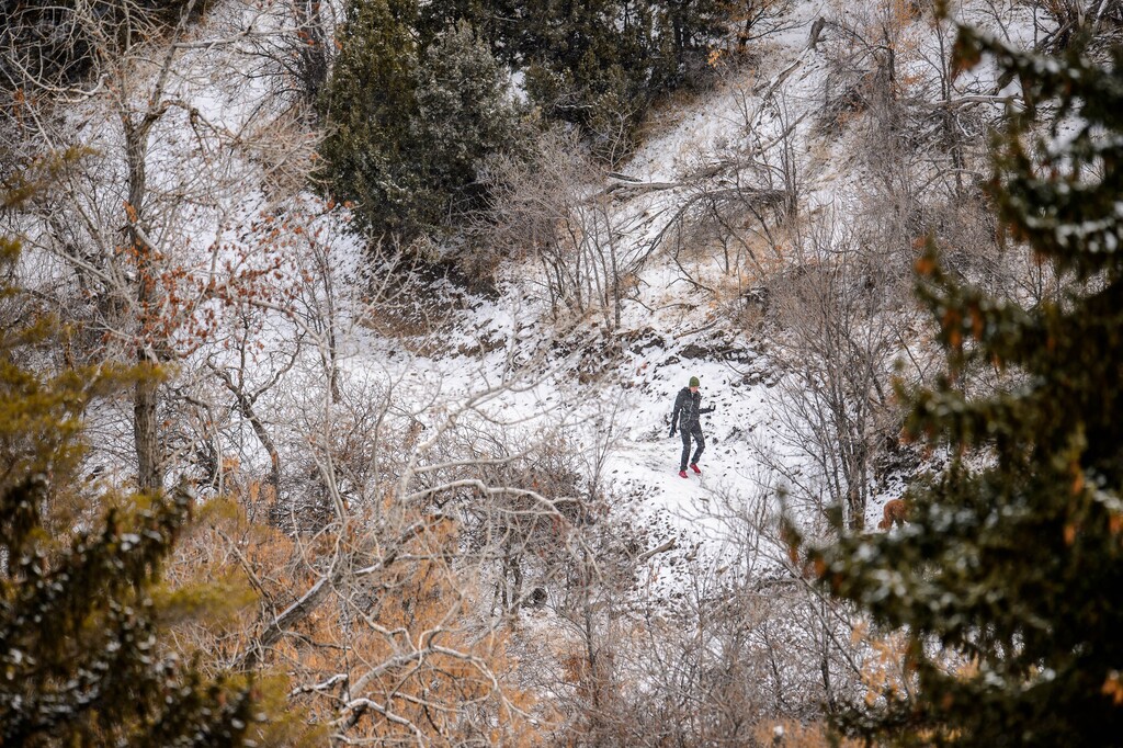 (Trent Nelson  |  Tribune file photo) Snow falls in Salt Lake City's Memory Grove on Tuesday, Dec. 15, 2020.