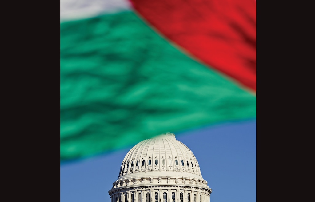 A Pro-Palestine march in Washington, on Saturday, Oct. 4, 2025. (Aleksey Kondratyev/The New York Times)