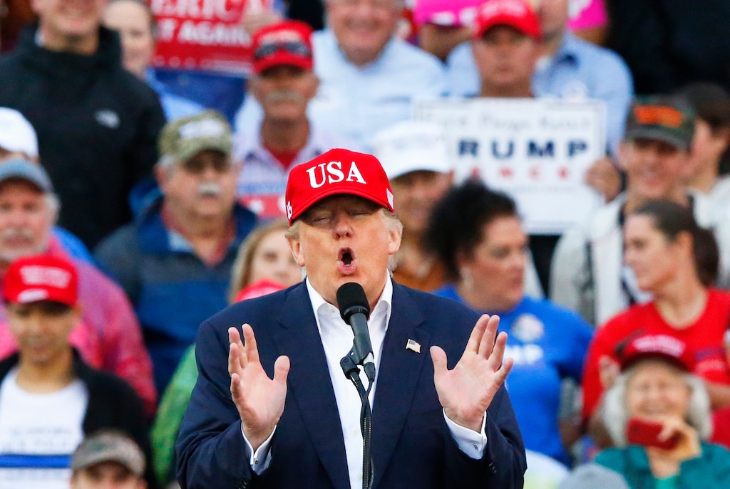 President-elect Donald Trump speaks during a rally at the Ladd–Peebles Stadium, Saturday, Dec. 17, 2016, in Mobile, Ala. (AP Photo/Brynn Anderson)