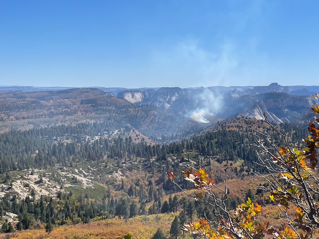 (National Park Service) Smoke from fire on Zion National Park's West Rim.
