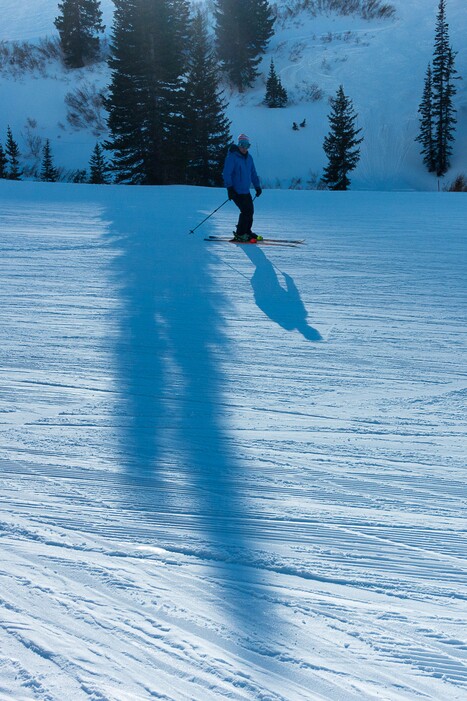 Trent Nelson  |  The Salt Lake TribuneA skier at the Alta Ski Resort, Wednesday February 11, 2015.
