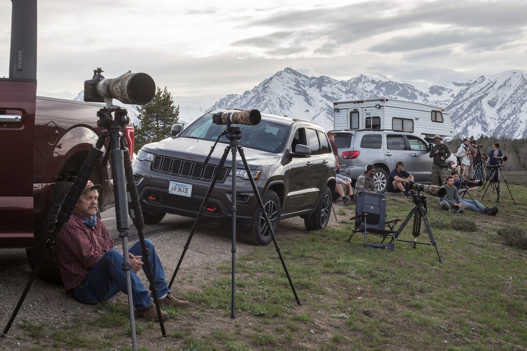 In this Monday, May 18, 2020 photo, wildlife watchers post up near Pilgrim Creek hoping for a chance to see the famed grizzly bear 399 and her four cubs at Grand Teton National Park, Wyo.(Ryan Dorgan/Jackson Hole News and Guide via AP)