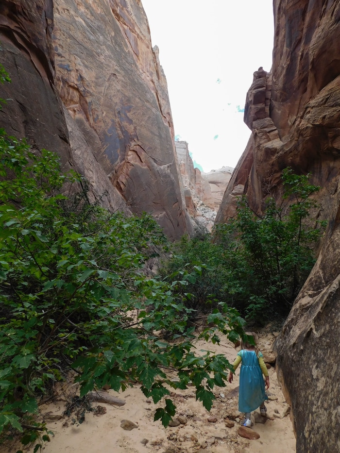 (Erin Alberty | The Salt Lake Tribune) The writer's daughter, Saskia, plays in Surprise Canyon on Oct. 4, 2015 at Capitol Reef National Park.