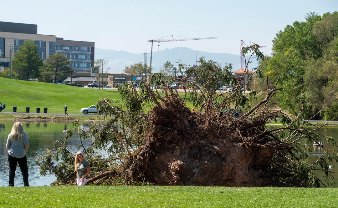 (Rick Egan  |  The Salt Lake Tribune)    Women pose for photos in front of one of the many downed trees at Sugarhouse Park, on Saturday, Sept. 12, 2020. 
