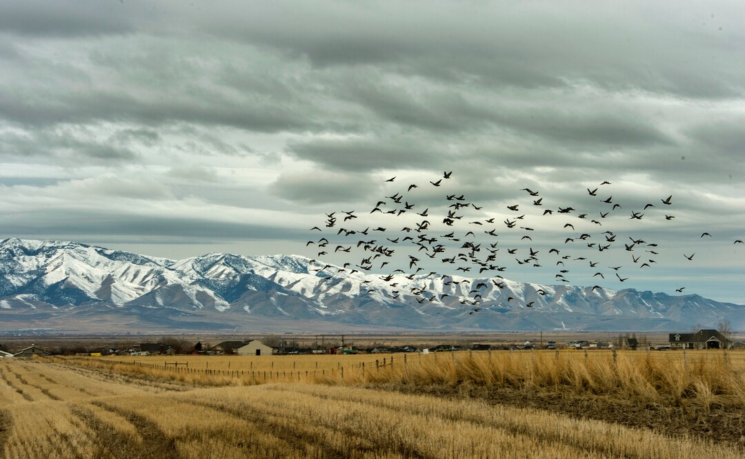 (Rick Egan  |  The Salt Lake Tribune)         The Romney Group, a private real estate investment company, is pushing for the creation of a 12,000-acre satellite port in Tooele County, which includes Erda. Tuesday, Jan. 28, 2020.