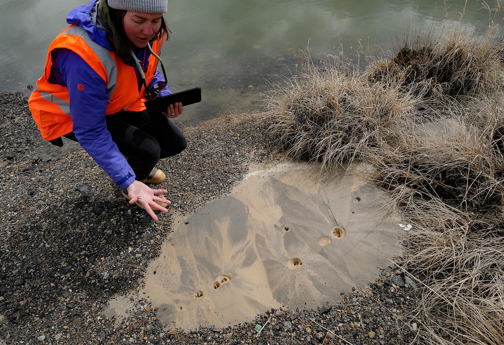 (Francisco Kjolseth  | Tribune file photo) Emily Kleber, a hazard geologist for the Utah Geological Survey, talks about how a sand boil formed near Saltair in the March 18 magnitude 5.7 earthquake that rocked the Salt Lake Valley. Using Lidar imaging, Kleber and her colleagues have mapped 739 miles of faults that have ruptured the surface along Wasatch Front.