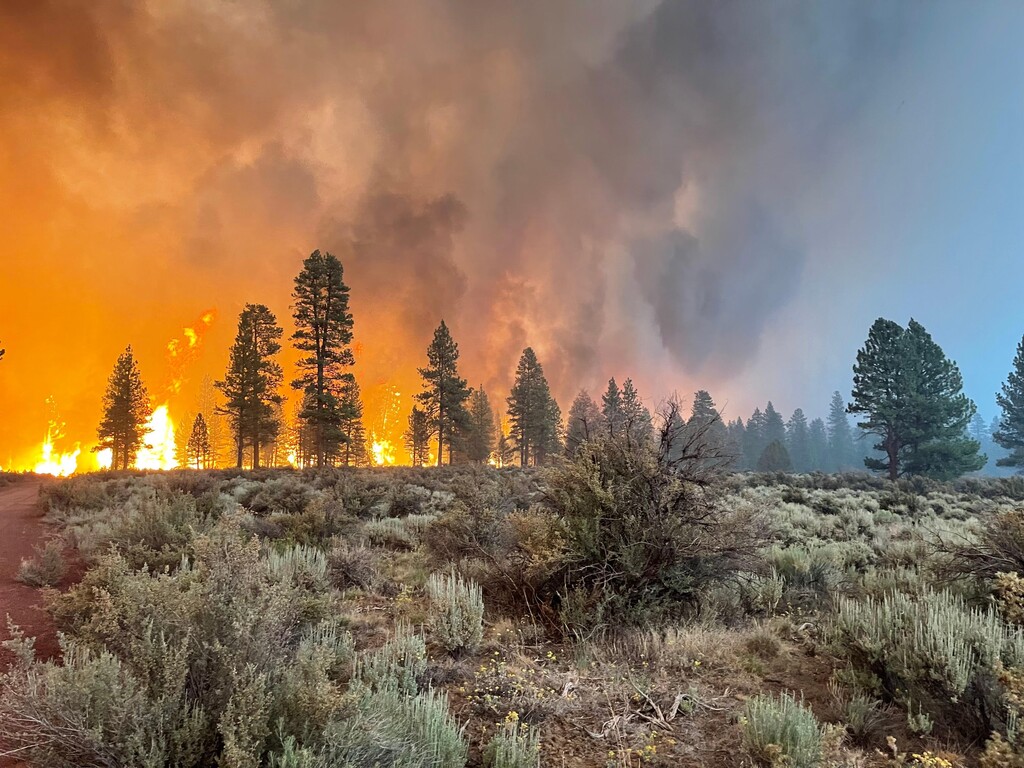 (U.S. Forest Service via The New York Times) 

The West Is on Fire. It’s Past Time to Act on Climate Change.