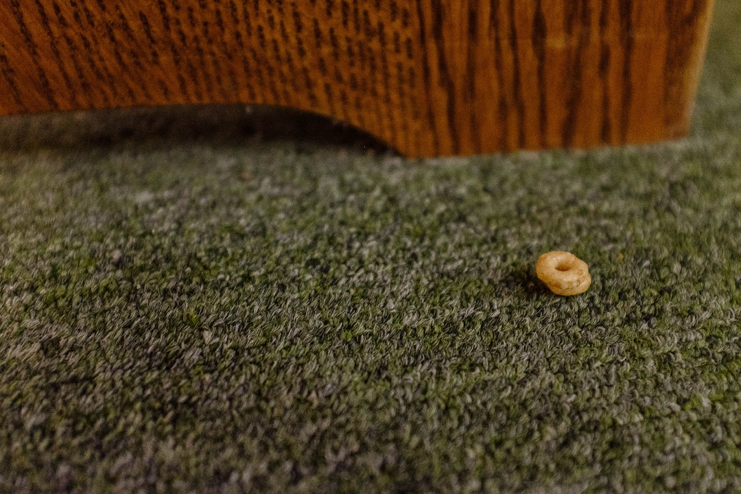 (Trent Nelson | The Salt Lake Tribune)  A cheerio on the floor after a Sacrament Meeting of the Pinesdale Second Ward, in Pinesdale, Mont.