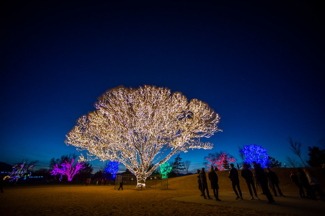 (Rick Egan | The Salt Lake Tribune) The largest willow tree at Draper City Park glows with more than1,000 strands of lights, creating what they call The Tree of Life on Thursday, Dec. 24, 2020.