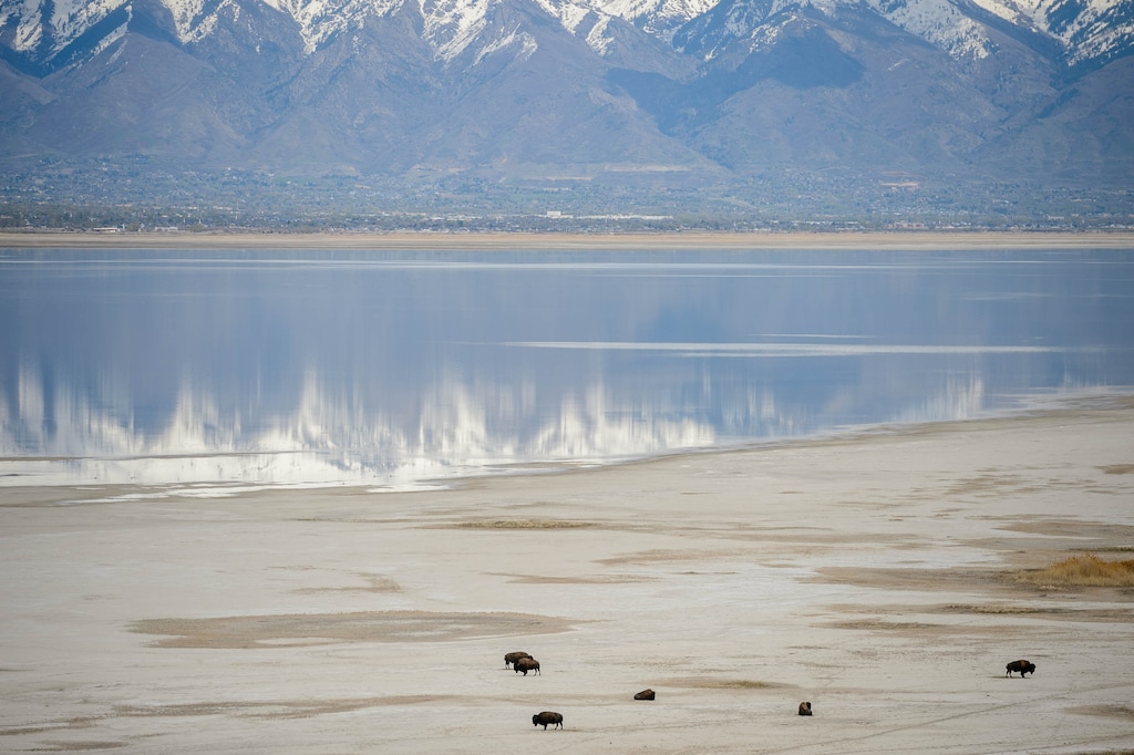 (Trent Nelson | Tribune file photo) Samantha Weigel, 40, died Friday while hiking alone at Antelope Island, shown in the foreground in 2020.