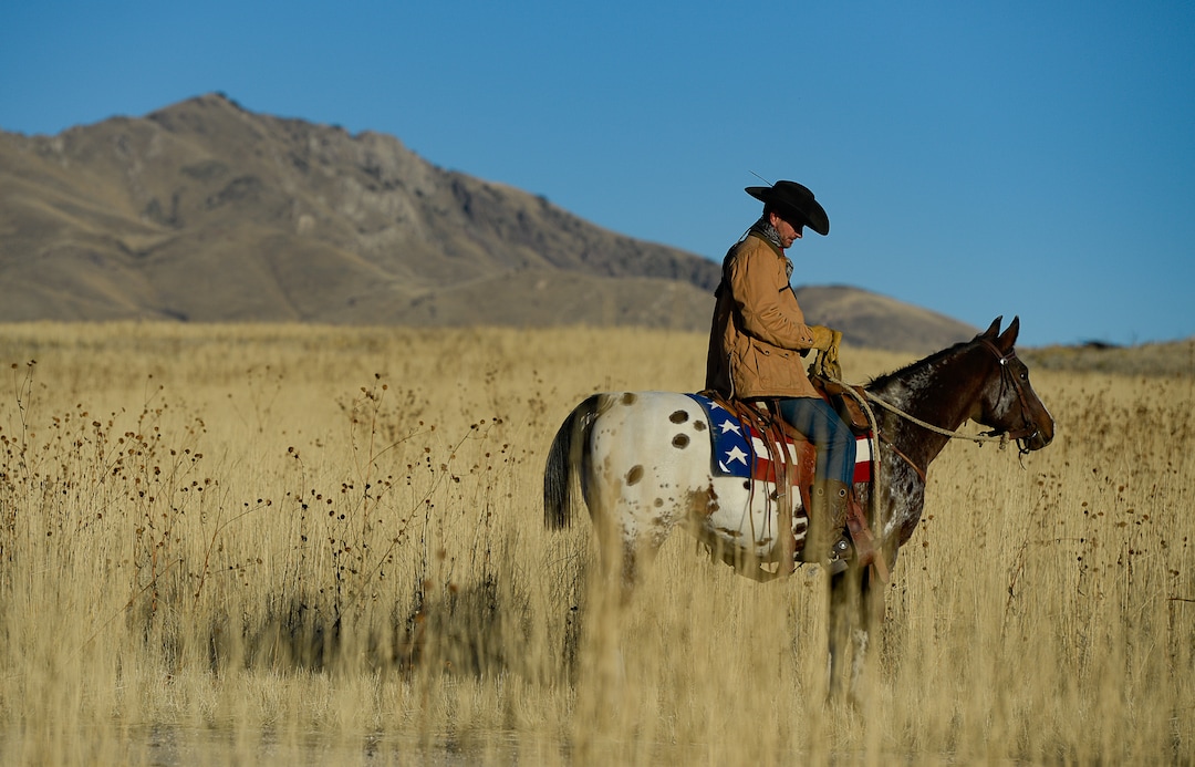 (Francisco Kjolseth  |  The Salt Lake Tribune)  A.J. Smith of Wallaby's Walla, Washington gets ready to ride his horse Doc in the 33rd annual roundup, Saturday, Oct. 26, 2019, on Antelope Island, a state park located near Syracuse in Davis County. Every year Utah wildlife and parks officials move the animals from across the island so they can be weighed, tagged and given health screenings.