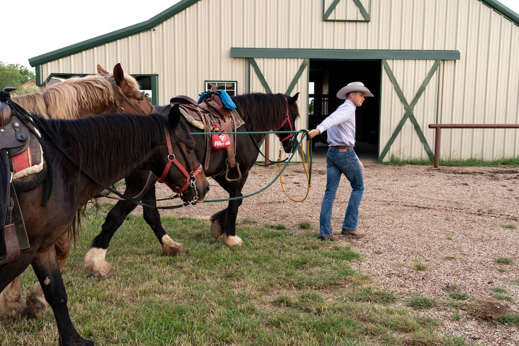 (Ilana Panich-Linsman | The New York Times)
Lem Brown cares for his horses at Brazos Bluffs Ranch in Waco, Tex, on Tueday, May 12, 2020.