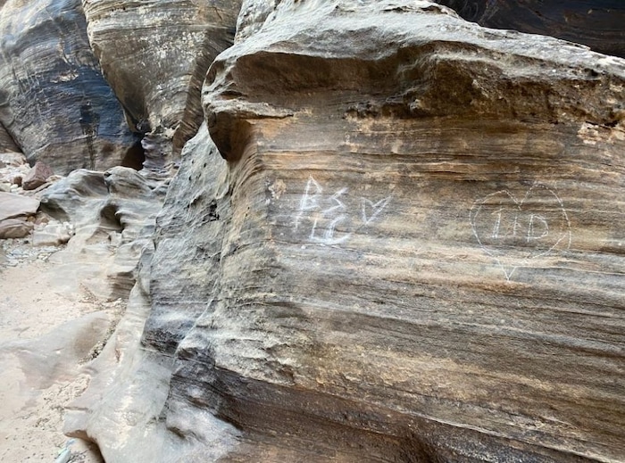 (Photo courtesy of the National Park Service) Scrape marks on a canyon walli at Zion National Park.