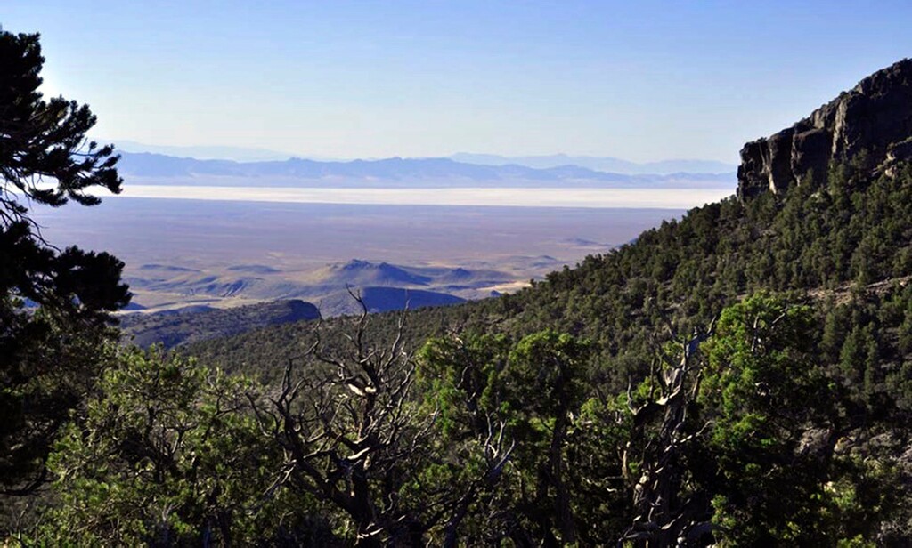 (Southern Utah Wilderness Alliance via AP) This undated image provided by the Southern Utah Wilderness Alliance, pinyon pine and juniper trees grow on a mountain range north of Sevier Lake in Millard County, Utah. Environmentalists filed a lawsuit on Monday, July 31, 2023, to prevent the construction of a new potash mine that they say would devastate a lake ecosystem in the drought-stricken western Utah desert.