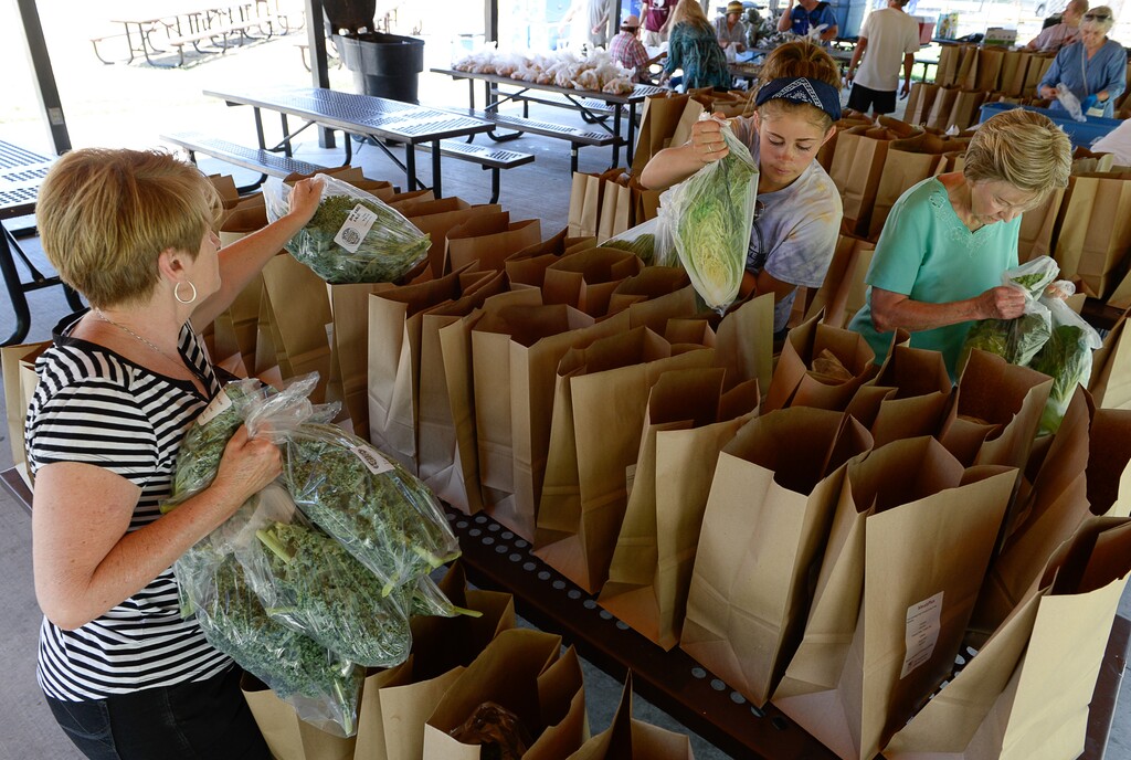 Francisco Kjolseth | The Salt Lake Tribune
Volunteers and staff divide the weeks selection of fruits and vegetables provided by local farmers and food groups that are trying improve the valley's food insecurity rate in 2015. Bell Organic Farms, Green Urban Lunch Box and some of the harvest created at the jail bring fresh produce to Wheeler Farm for Salt Lake County's Meals on Wheels programs. SL County aging and adult services staff and volunteers pack the selection for seniors around the valley.