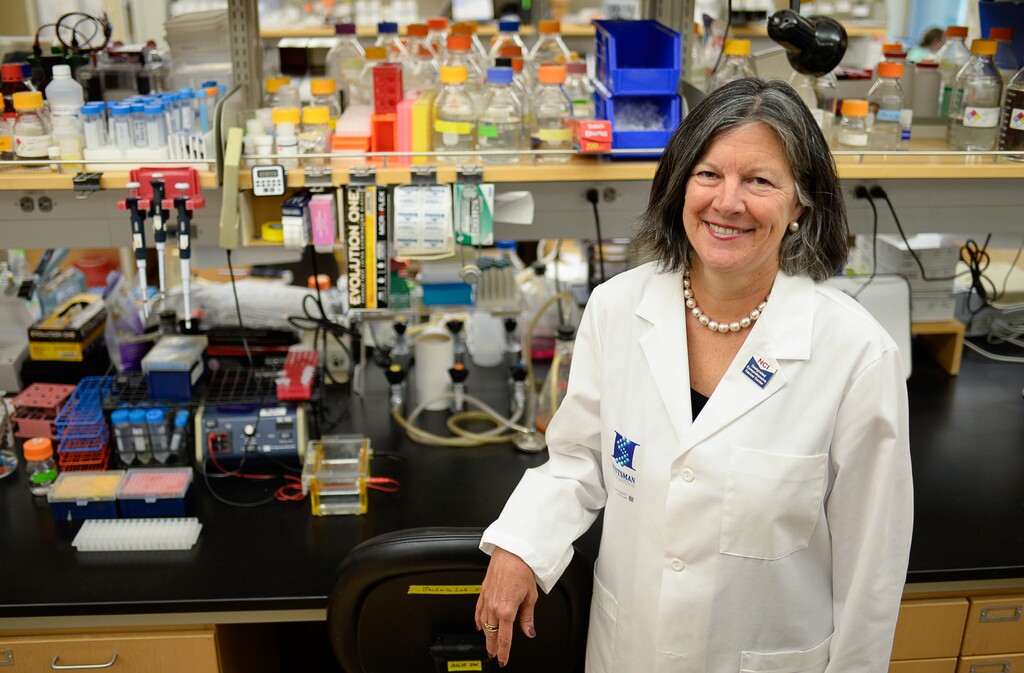 (Francisco Kjolseth |  Tribune file photo) Mary Beckerle, CEO of the Huntsman Cancer Institute.