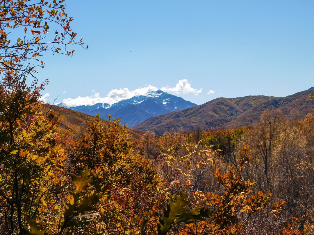 (Erin Alberty|The Salt Lake Tribune) Autumn leaves frame the Wasatch peaks at Cascade Springs on Oct. 9, 2017 in Wasatch County.