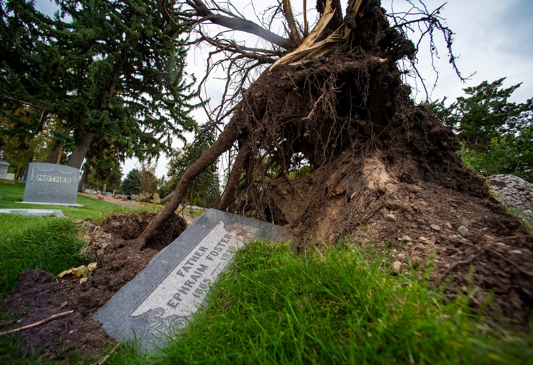 (Rick Egan  |  The Salt Lake Tribune)    Hundreds of headstones in the Salt Lake City Cemetery were damages in the recent wind storm, Friday, Sept. 18, 2020.