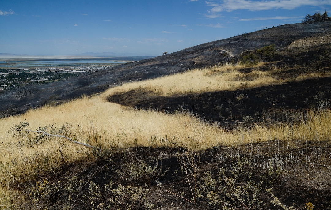 (Francisco Kjolseth  |  The Salt Lake Tribune)  Extreme dry conditions following by a wet spring that grew tall grasses, contribute to the fire damage in Bountiful that destroyed three homes and damaged five more that began early Friday morning, Aug. 30, 2019.  On Sept. 2, officials said the fire was 100% contained.