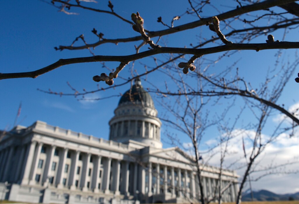 (Al Hartmann  |  Tribune file photo)
Buds on ornamental cherry trees ringing the Utah Capitol begin to swell — a sure sign of eventual spring and the end of the 2014 Utah legislative session.