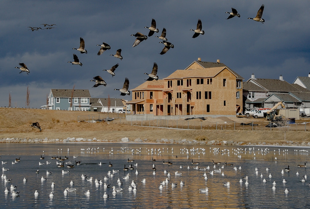 (Francisco Kjolseth  |  The Salt Lake Tribune) Ongoing development takes shape around Oquirrh Lake at Daybreak on Thursday, Jan. 9, 2020. Daybreak, the 4,100-acre master planned community in South Jordan, illustrates the idea of blending higher density housing and walkable community design with ample amounts of open space. That "smart growth" land use approach is being required by Salt Lake County for a proposed development called Olympia Hills, a 933-acre residential and commercial project proposed west of Herriman.