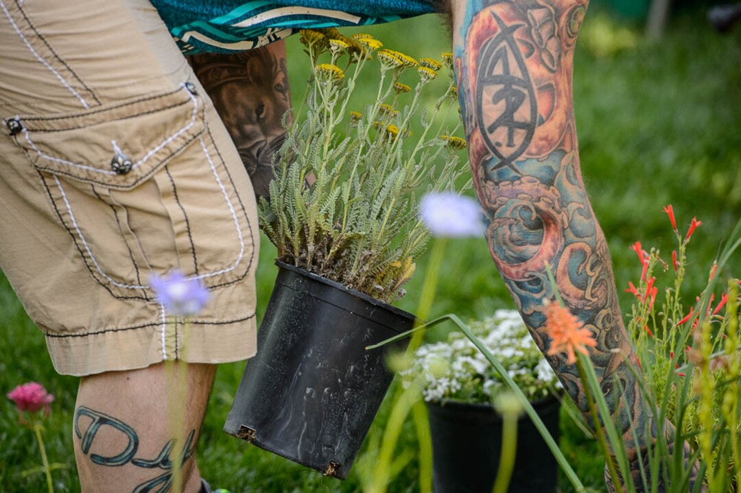 (Trent Nelson | The Salt Lake Tribune)A customer of Growing Empire Nursery at the opening day of the 2018 Downtown Farmers Market at Pioneer Park in Salt Lake City, Saturday June 9, 2018.