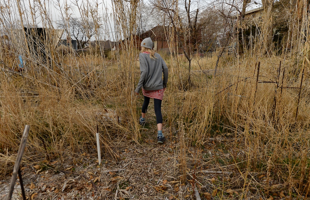 (Francisco Kjolseth  |  The Salt Lake Tribune)  Zoey Porucznik, 13, explores the various plots where fruits and vegetables were grown this season in the community garden next to her home at the end of Elizabeth Street in Salt Lake City. The Poruczniks grow on one of the 42 plots at the garden, which has operated on church land for 43 years.