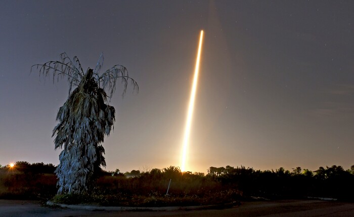 The SpaceX Falcon 9 rocket and Crew Dragon capsule launch from NASA pad 39A as seen in a time exposure from Viera, FL. on March 2 with a lone, untrimmed palm tree in the foreground. (Tim Shortt/Florida Today via AP)