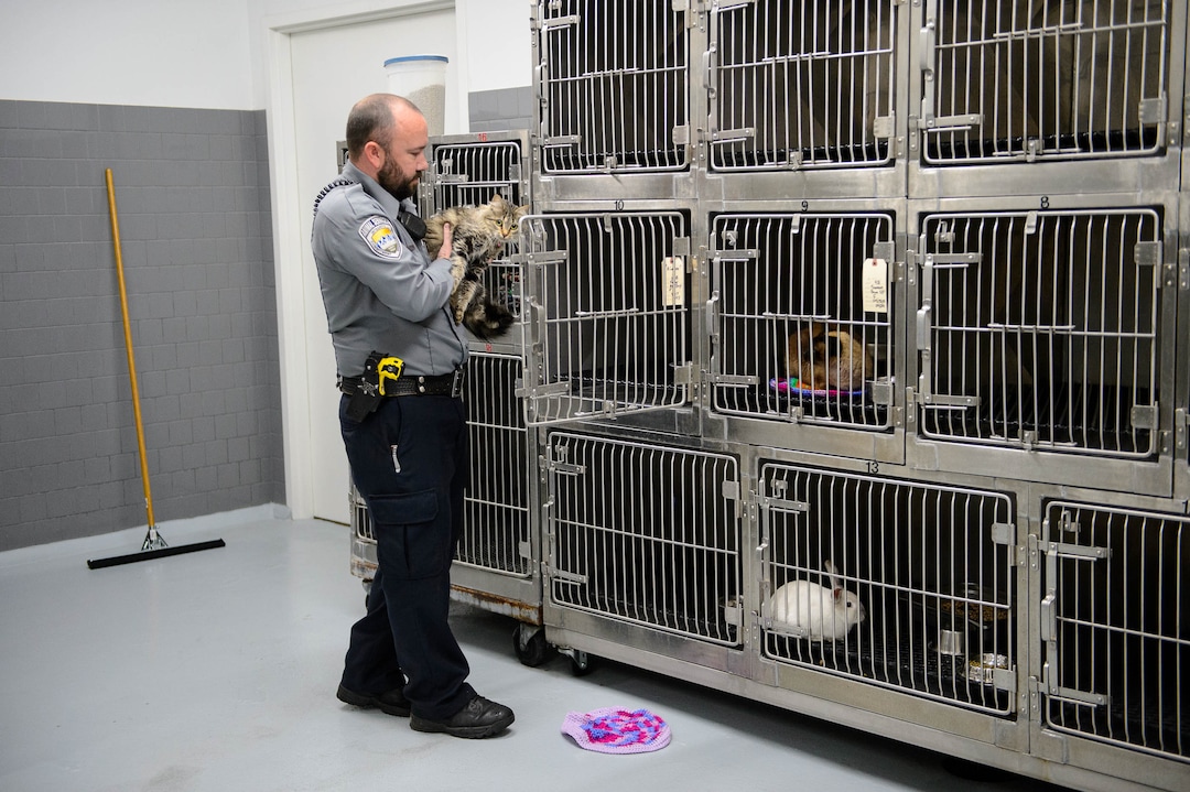 (Trent Nelson  |  The Salt Lake Tribune)  Officer Trevor Leslie with a cat named "Kimber" at Sandy City Animal Services on Monday April 22, 2019.