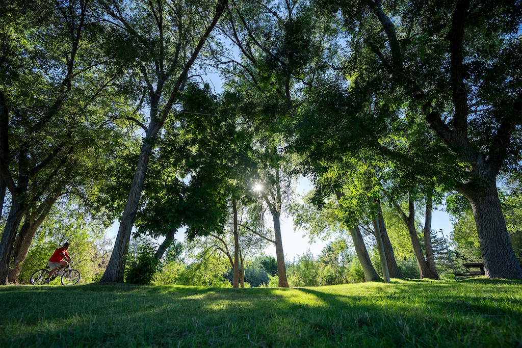(Rick Egan | The Salt Lake Tribune) The Jordan River Trail, near Fremont Street, on Tuesday, July 2, 2024.