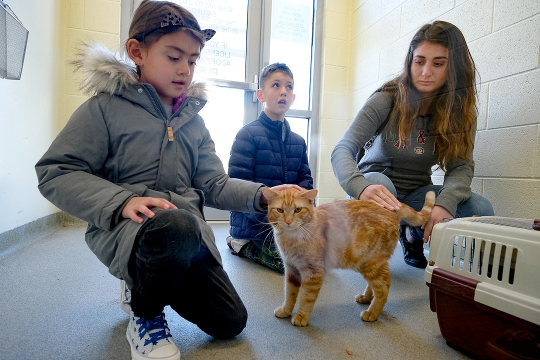 (Francisco Kjolseth  |  The Salt Lake Tribune) Samantha Vasquez of Copperton is joined by her kids Avery, 6, and Aiden, 9, as they meet Tangerine the cat at the West Valley City Animal Shelter on Thursday, April 2, 2020, in a safe space just outside the shelter. Due to COVID-19, many shelters are experimenting with Facebook Live adoption fairs or Zoom and FaceTime introductions with potential adopters, and if they are serious one-on-ones. Despite the restrictions, adoption numbers seem to be up.