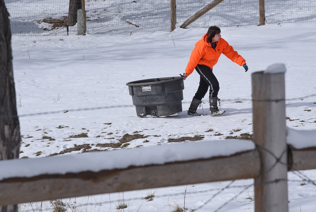 (Francisco Kjolseth  |  The Salt Lake Tribune)  Horse owner Kay Freeman moves a water container on Sunday, Feb. 17, 2019, within reach of a Sandy City truck delivering clean drinking water after finding out that her horses could also be affected by high levels of lead and copper in the water.. The city says the problem started about Feb. 6, when a fluoride pump malfunctioned because of a power outage. It flooded the water system with fluoride and that also led to high levels of lead and copper, enough that it made some people sick.