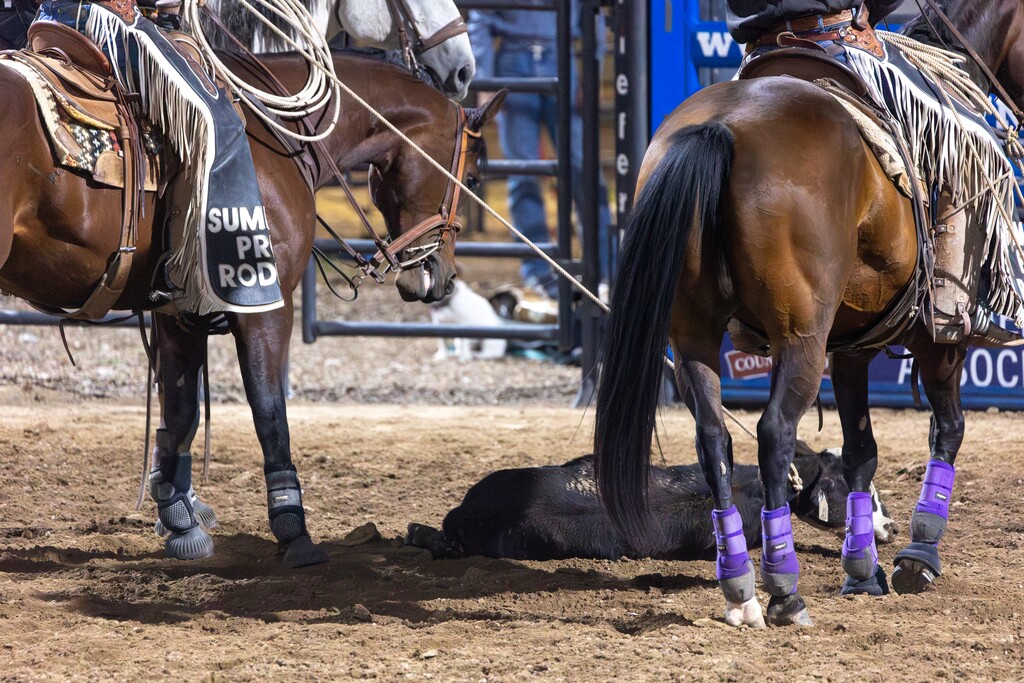 (Photo Courtesy of Wes Burdett) A photo from Utah's Own PRCA Rodeo held at the Utah State Fairgrounds on Sept. 8, 2023.