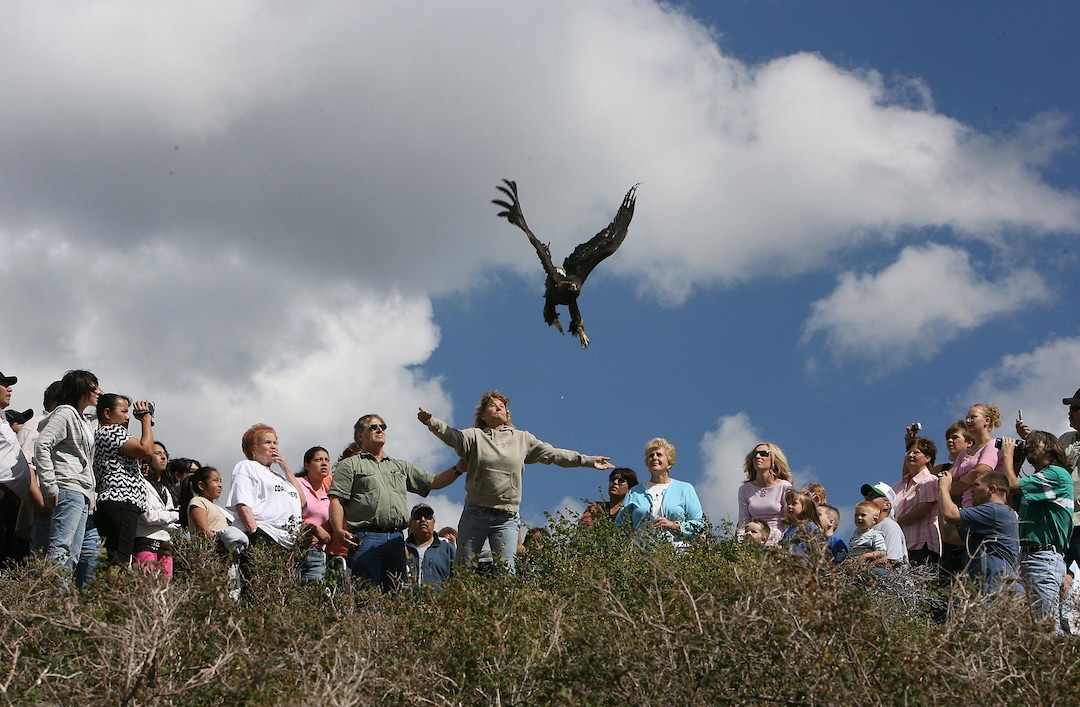(Scott Sommerdorf  |  The Salt Lake Tribune)  Wendy Black, widow of fallen rescuer Dale Black, releases a six-month old golden eagle from the top of the Wasatch Plateau. Friends and family of the nine miners who died at Crandall Canyon — and mine rescuers — were invited to gather and send prayers for their loved ones aloft on the wings of the young eagle.