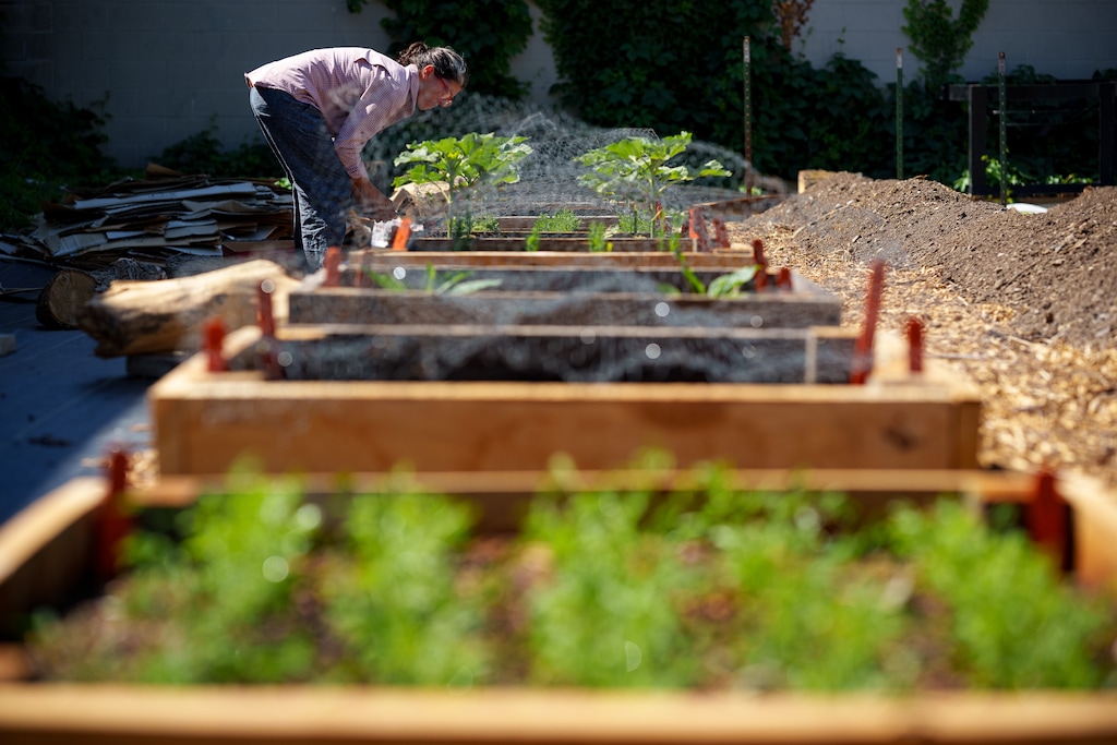 (Trent Nelson  |  The Salt Lake Tribune) Christy Clay at Wasatch Community Gardens' new urban farm on the west side of Salt Lake City on Tuesday, June 25, 2024.