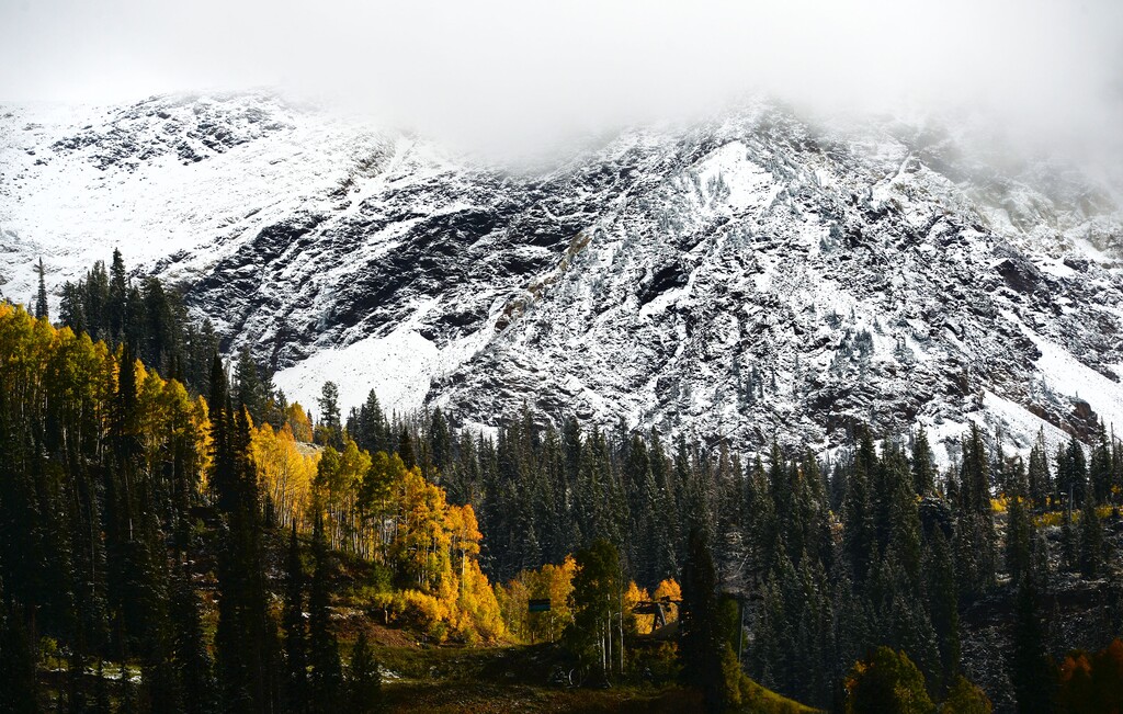 Steve Griffin  |  The Salt Lake TribuneThe evening sun illuminates the Aspen trees as the high peaks above Snowbird ski resort are covered in snow Wednesday, October 1, 2014. 