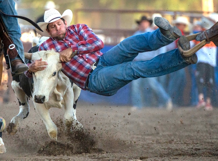(Rick Egan  |  The Salt Lake Tribune)     Jacob D. Edner, from State Center Iowa, competes in the Steer Wrestling Competition, at the West Jordan Western Stampede Rodeo, Saturday, July 6, 2019.