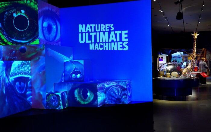 (Scott Sommerdorf | The Salt Lake Tribune) The entry into at the Utah Museum of Natural History's "Nature's Ultimate Machines," Wednesday, Feb., 7, 2018.