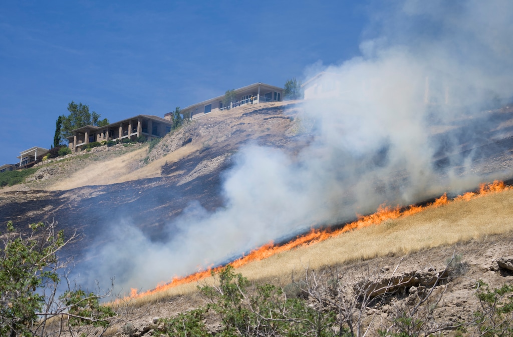 (Bethany Baker  |  The Salt Lake Tribune) The fire line approaches nearby homes during a brush fire near Ensign Peak in Salt Lake City on Wednesday, June 10, 2026.