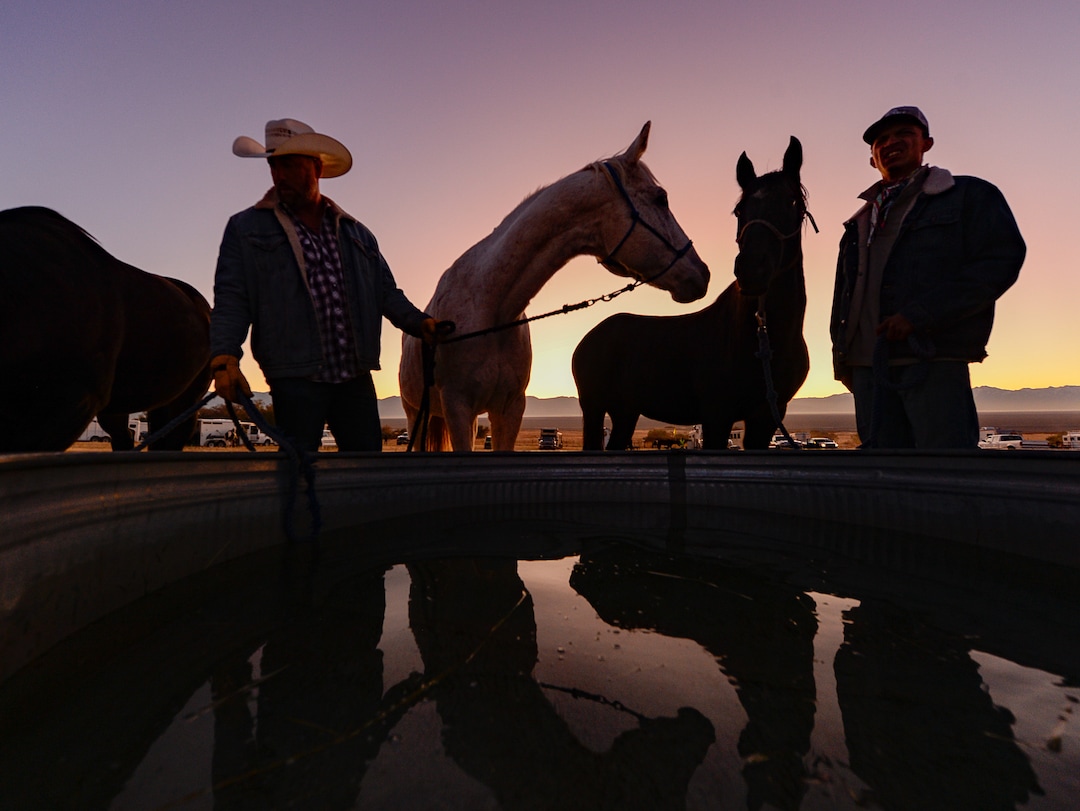 (Francisco Kjolseth  |  The Salt Lake Tribune)  Riders prepare their horses at first light for the 33rd annual Bison Roundup, Saturday, Oct. 26, 2019, on Antelope Island, a state park located near Syracuse in Davis County. Every year Utah wildlife and parks officials move the animals from across the island so they can be weighed, tagged and given health screenings.