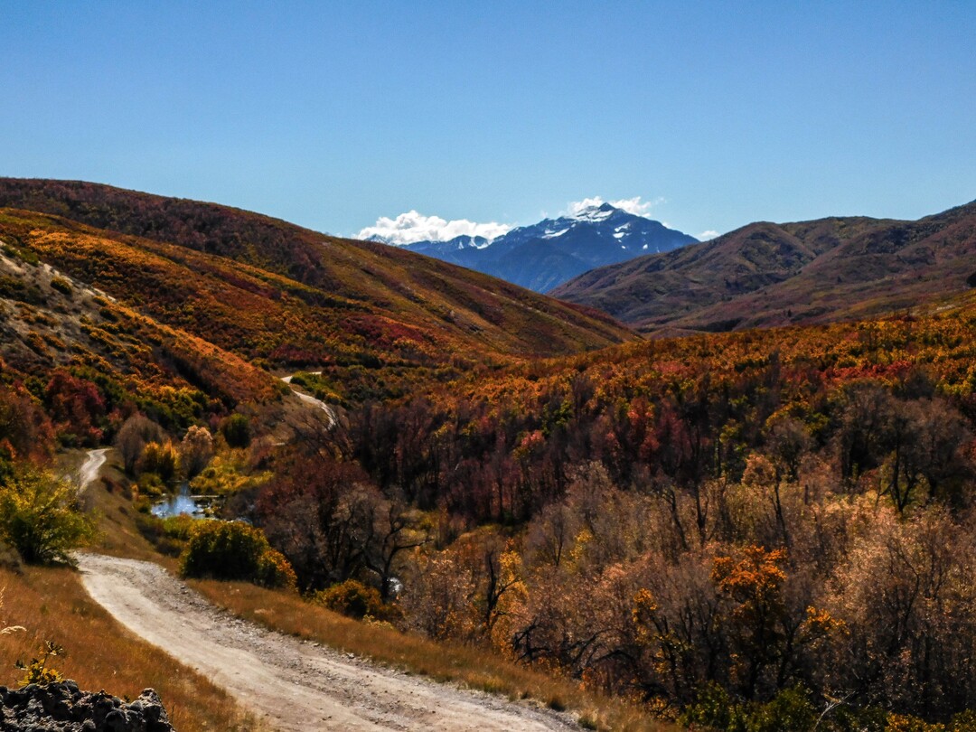 (Erin Alberty|The Salt Lake Tribune) Autumn foliage lights up the slopes rising out of Cascade Springs on Oct. 9, 2017 in Wasatch County.
