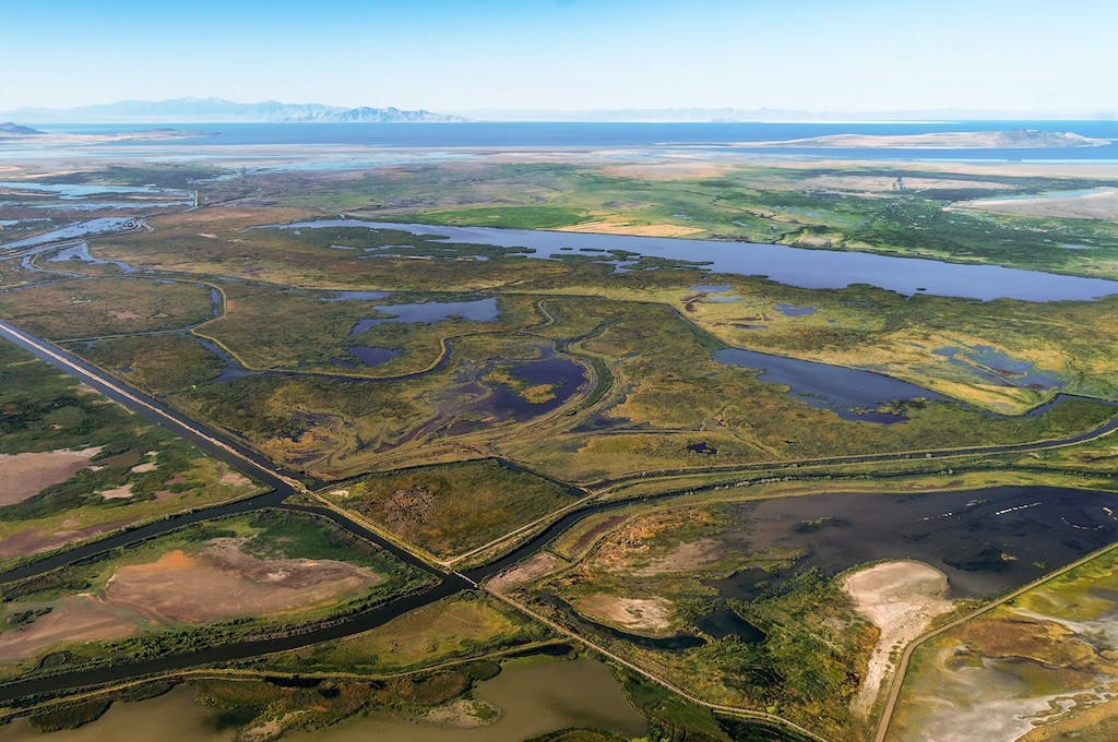 (Rick Egan | The Salt Lake Tribune) Wetland by the Great Salt Lake is photographed Tuesday, Sept. 5, 2023.