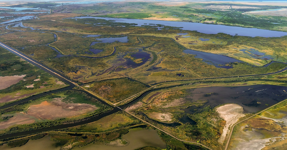 Salt Lake airport plans to sell nearly 1,000 acres of wetlands. Bird advocates worry about what could come next.