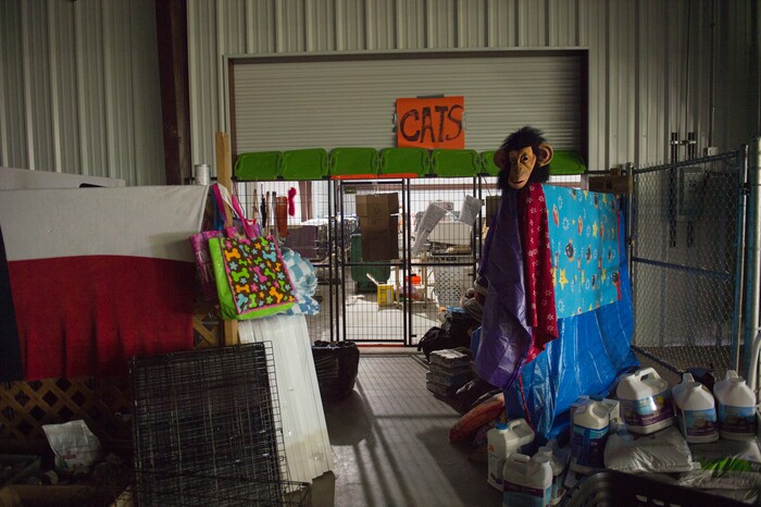 (Rachel Molenda | The Salt Lake Tribune) Cats and dogs are kept separately at the Best Friends Animal Society's shelter in Conroe, Texas, on Wednesday, Sept. 6, 2017.