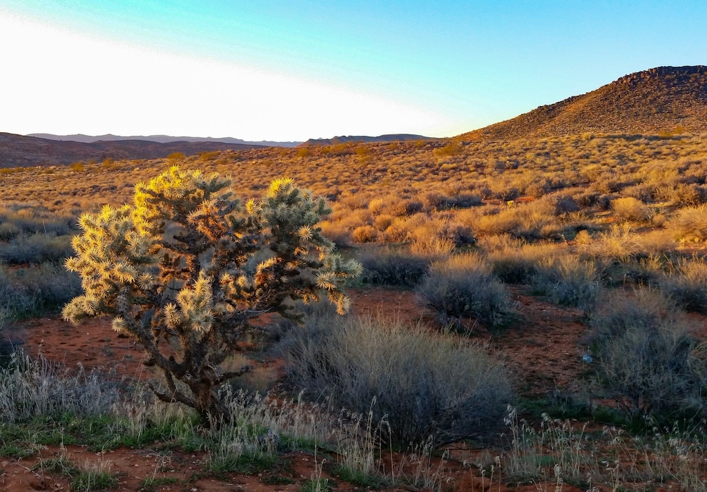 (Photo courtesy of Carol Bold)

Sunset at Pioneer Hills near St. George in Washington County.
